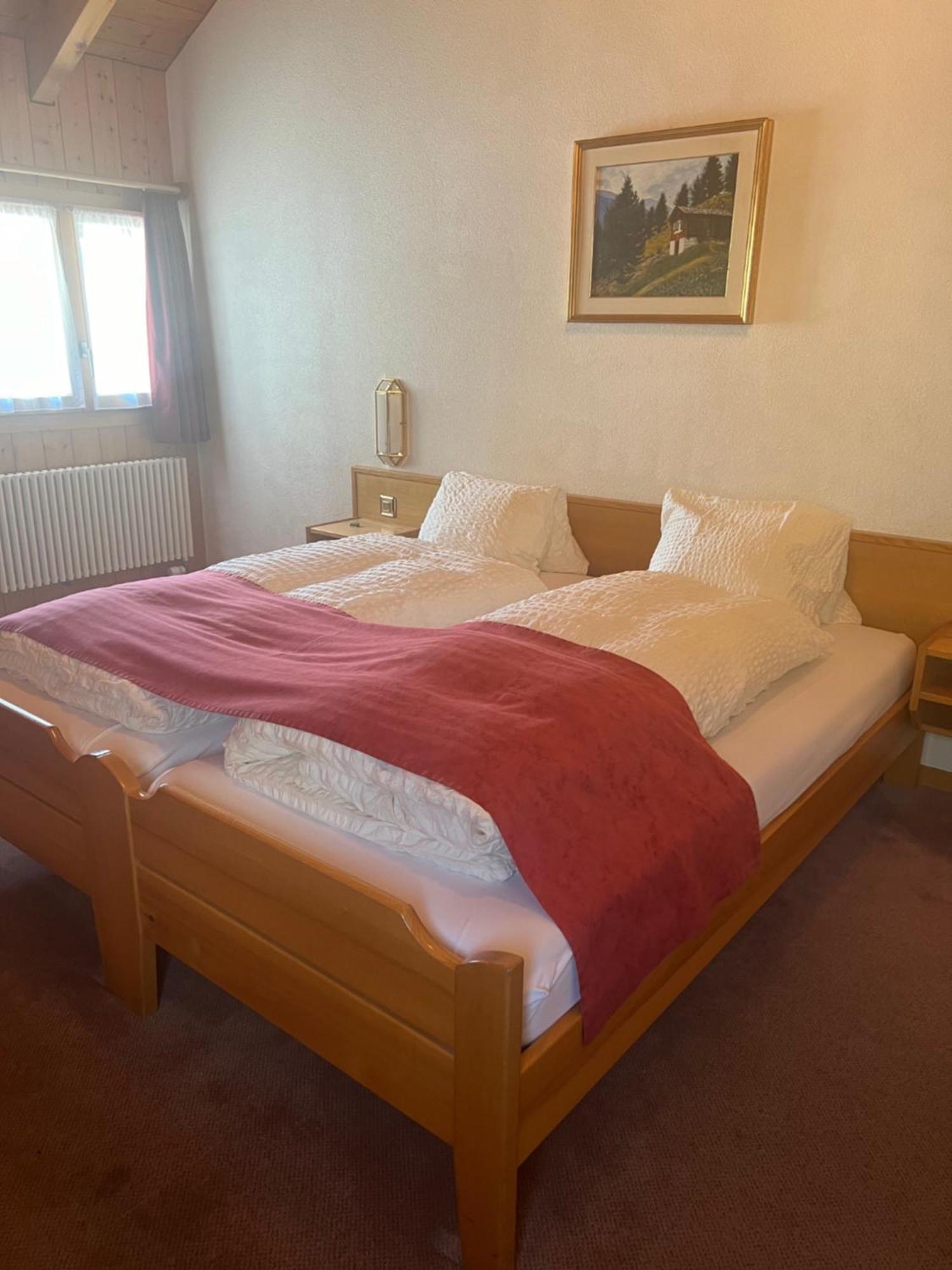 Hotel Grimsel Obergesteln Luaran gambar