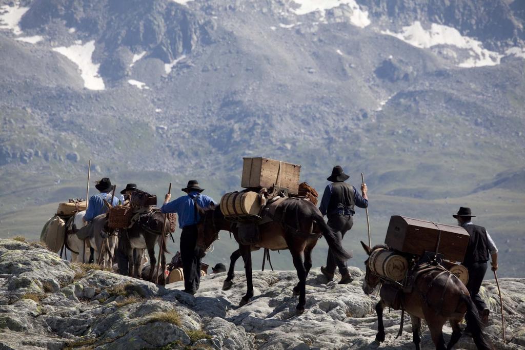 Hotel Grimsel Obergesteln Luaran gambar
