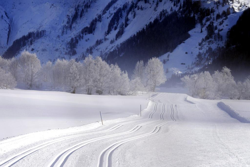 Hotel Grimsel Obergesteln Luaran gambar